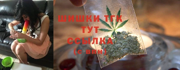 ешки Алексин