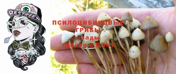 ешки Алексин