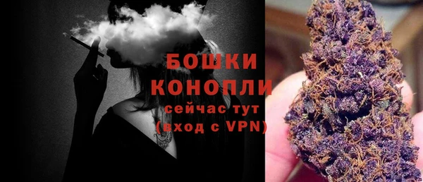 mdpv Пестово